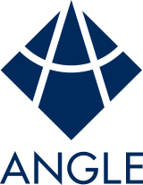 Angle logo